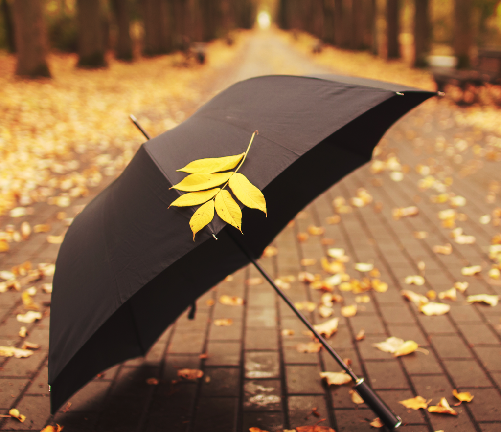 Autumn Marketing: 5 Reasons Promotional Umbrellas Are Perfect For Autumnal Promotions