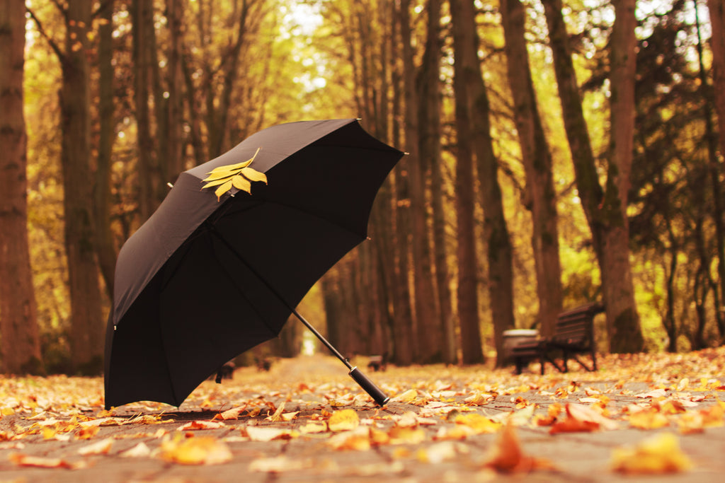 Get Ready for Autumn with Custom-Branded Umbrellas