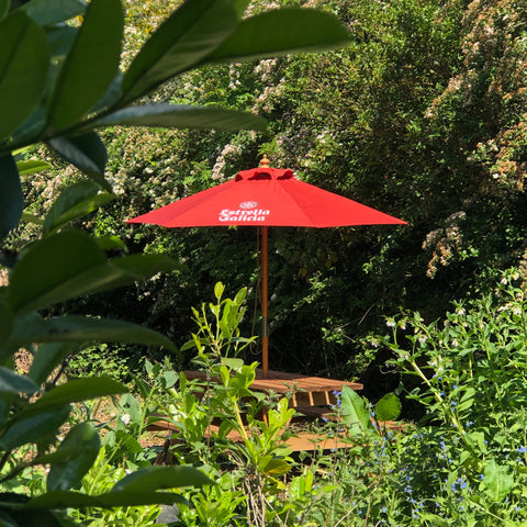 Transform Your Outdoor Space with Printed Parasols