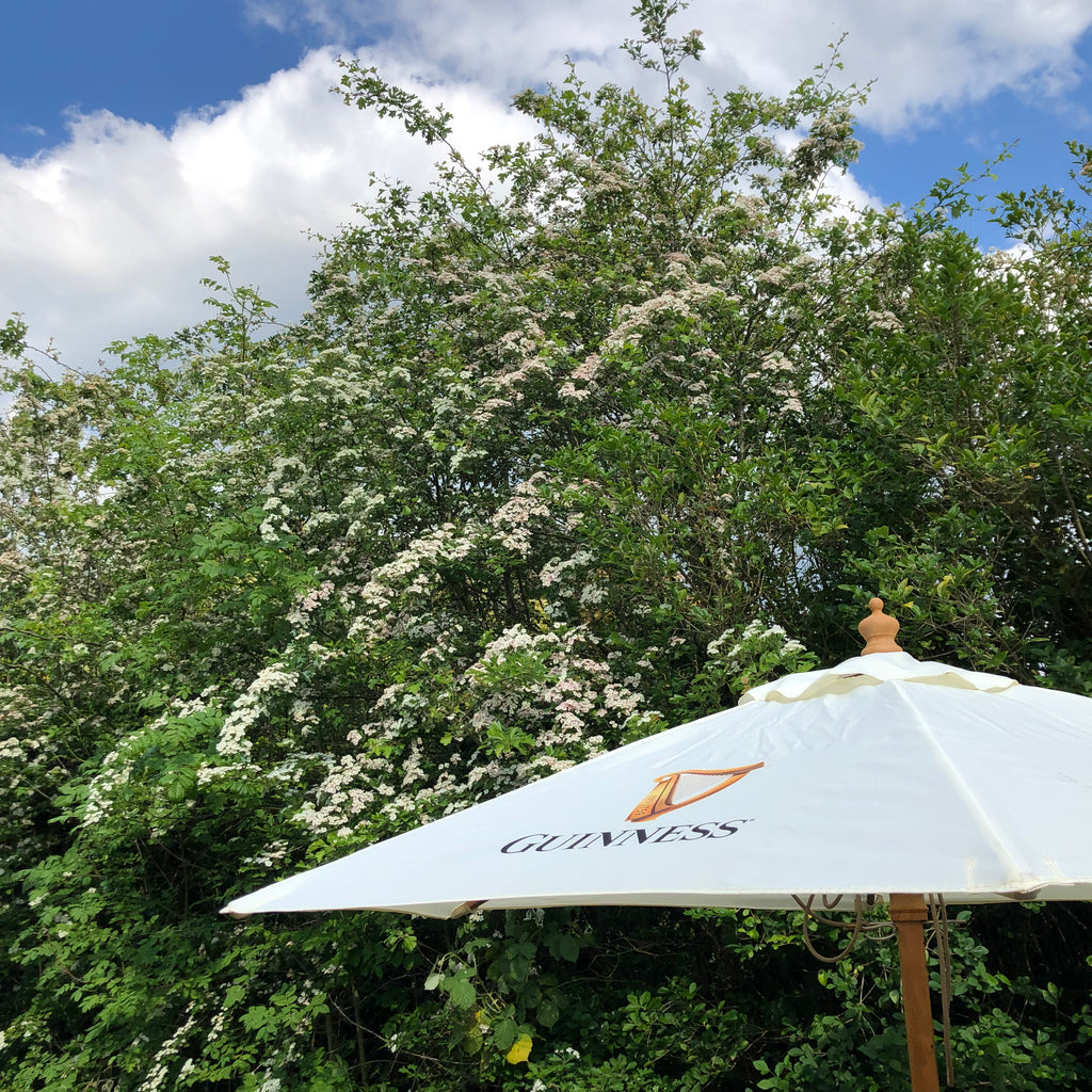 Printed Parasols - What you need to know.