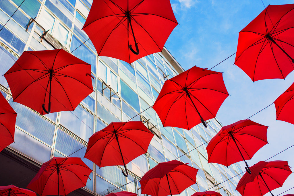 Personalised Umbrellas - stand out in the rain!