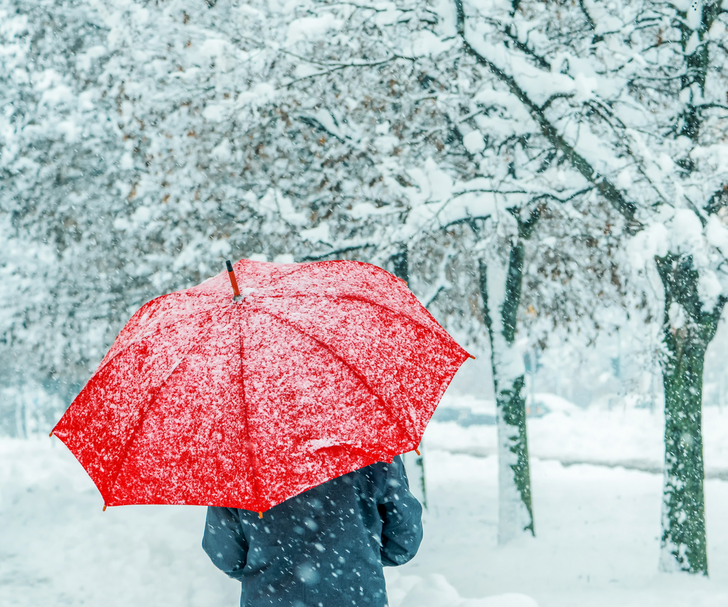 Unwrap the Magic of Promotional Umbrellas: A Festive Gift for the Holidays