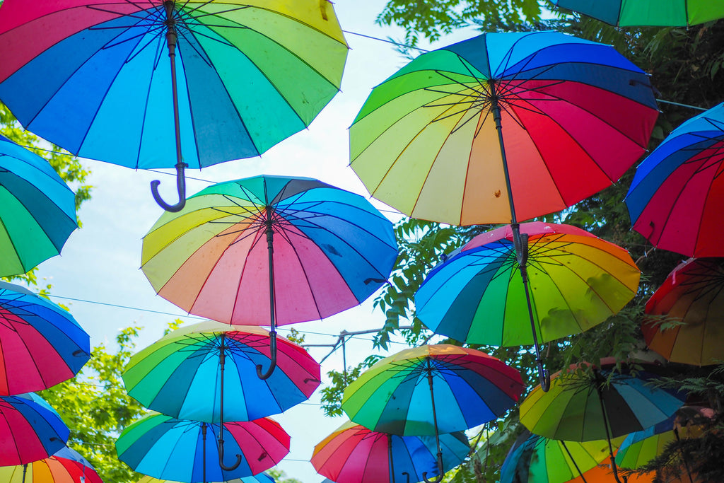 The Fascinating Journey of the Umbrella: A Historical Glimpse